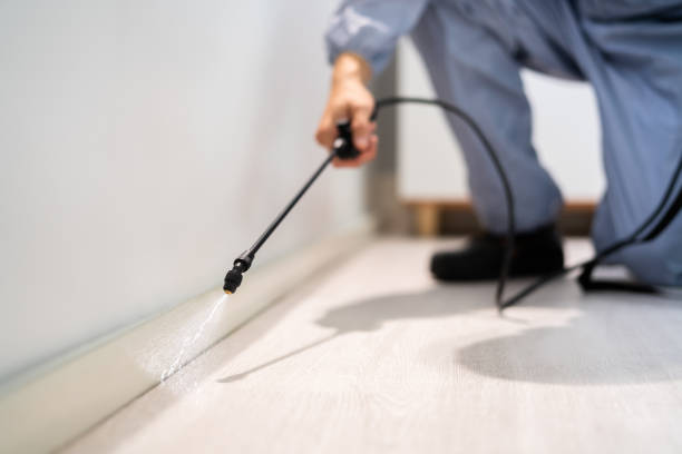 Licensed Pest Control service in Buckhannon, WV - Show Me Pest Control